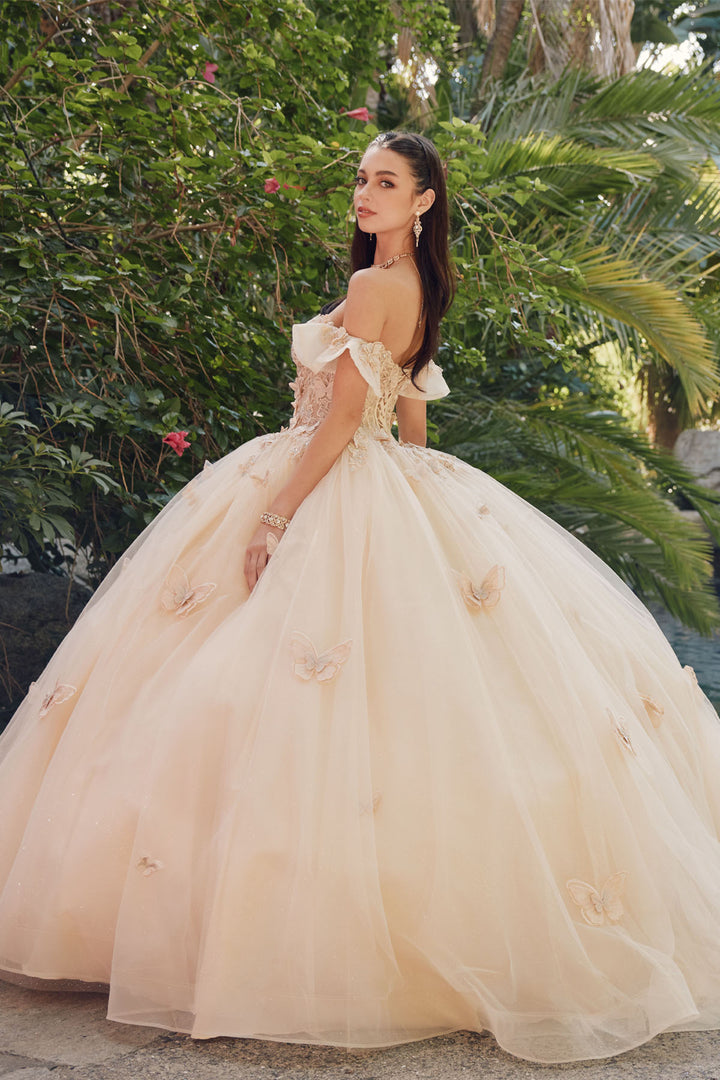 Juliet JT1448J off-shoulder butterfly appliqué ball gown quinceanera dress back three-quarter view
