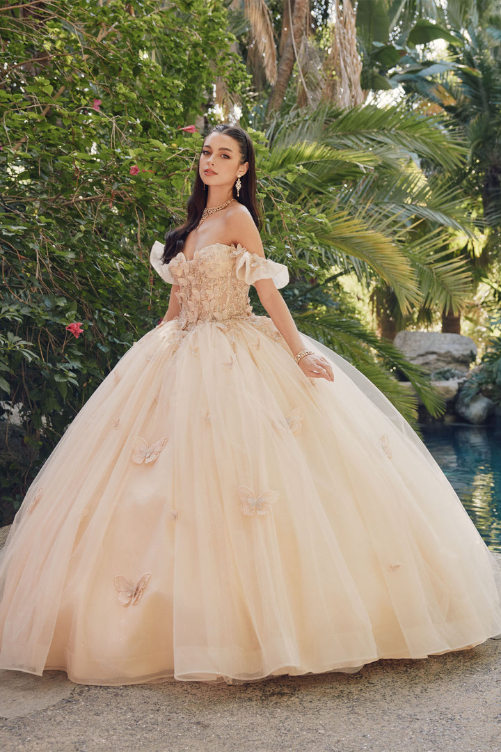Juliet JT1448J off-shoulder butterfly appliqué ball gown quinceanera dress front view, option 2