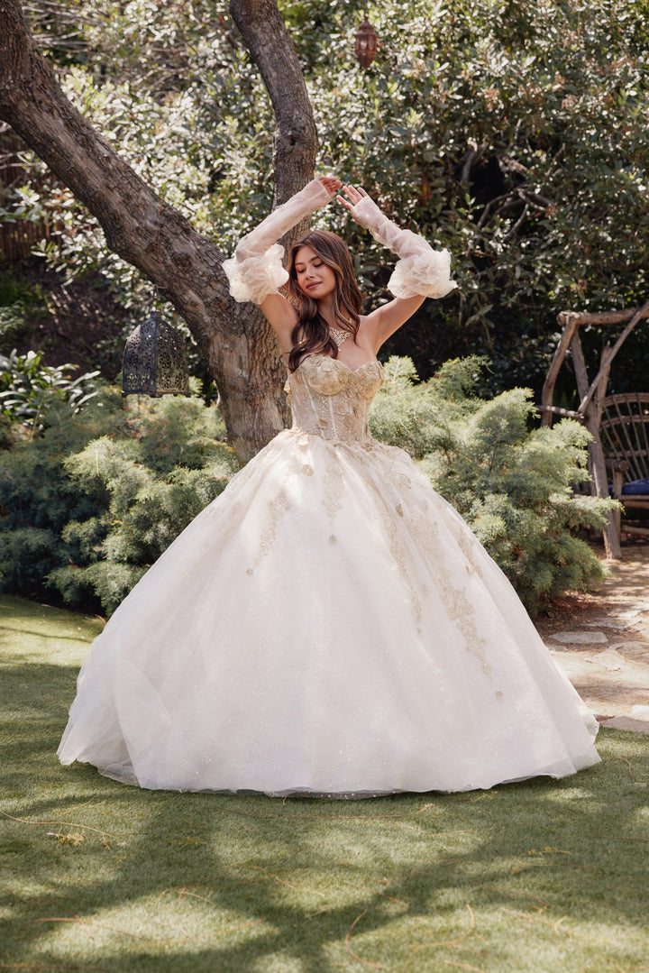 Juliet JT1465H quinceanera ball gown front view, option 4