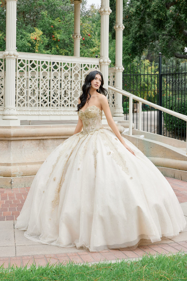 Juliet JT1465H quinceanera ball gown front view, option 2