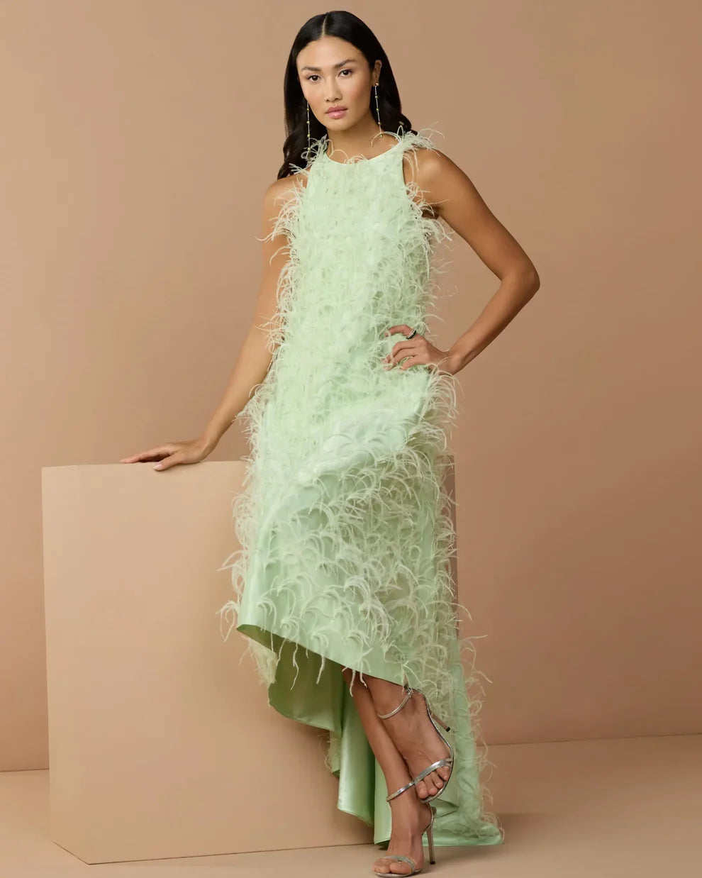 Mac Duggal 11633 Sleeveless Feather Embellished High Low Dress - FOSTANI.com