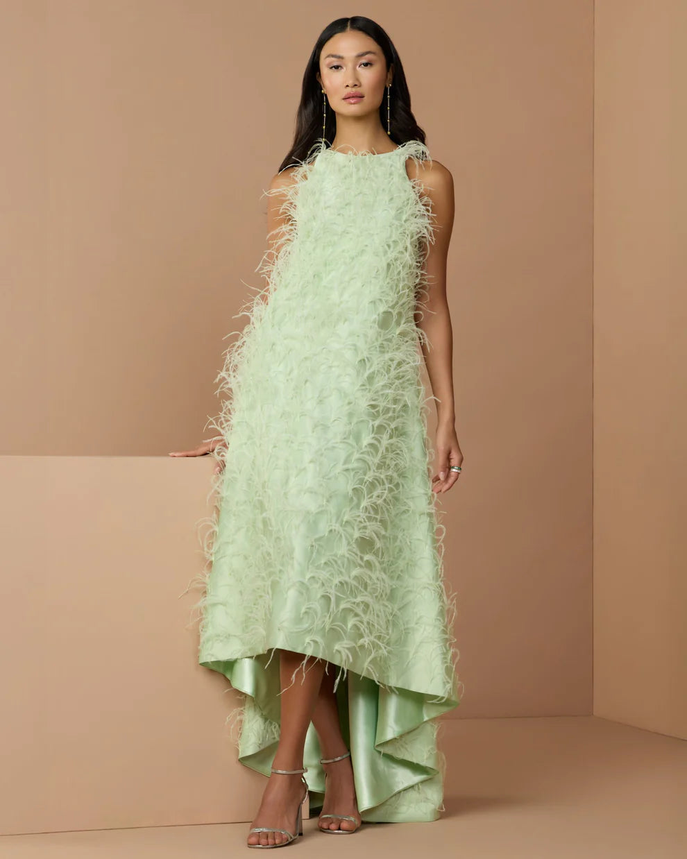 Mac Duggal 11633 Sleeveless Feather Embellished High Low Dress - FOSTANI.com