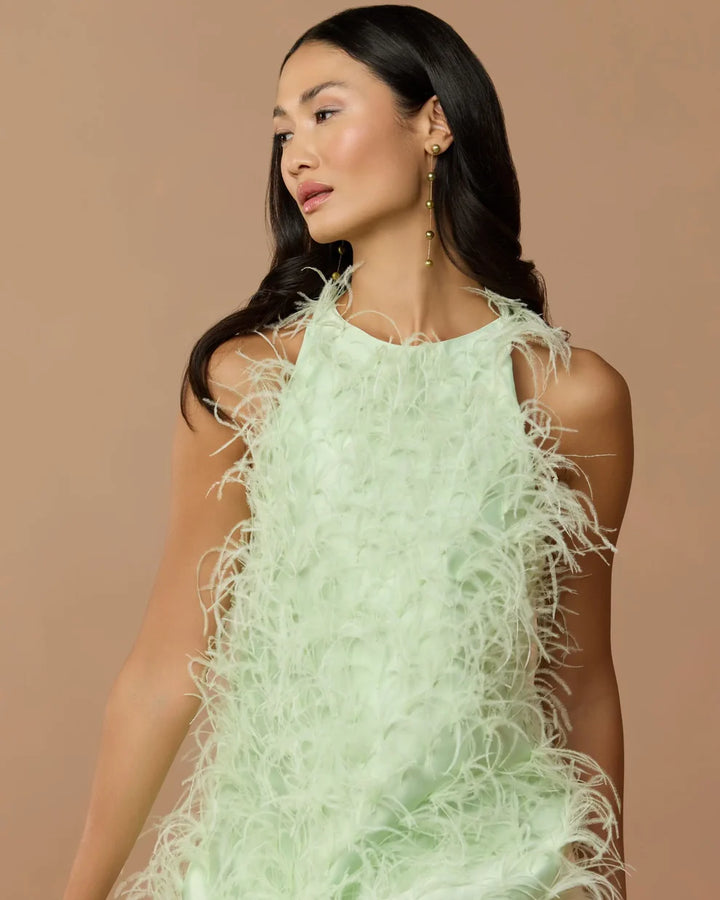 Mac Duggal 11633 Sleeveless Feather Embellished High Low Dress - FOSTANI.com