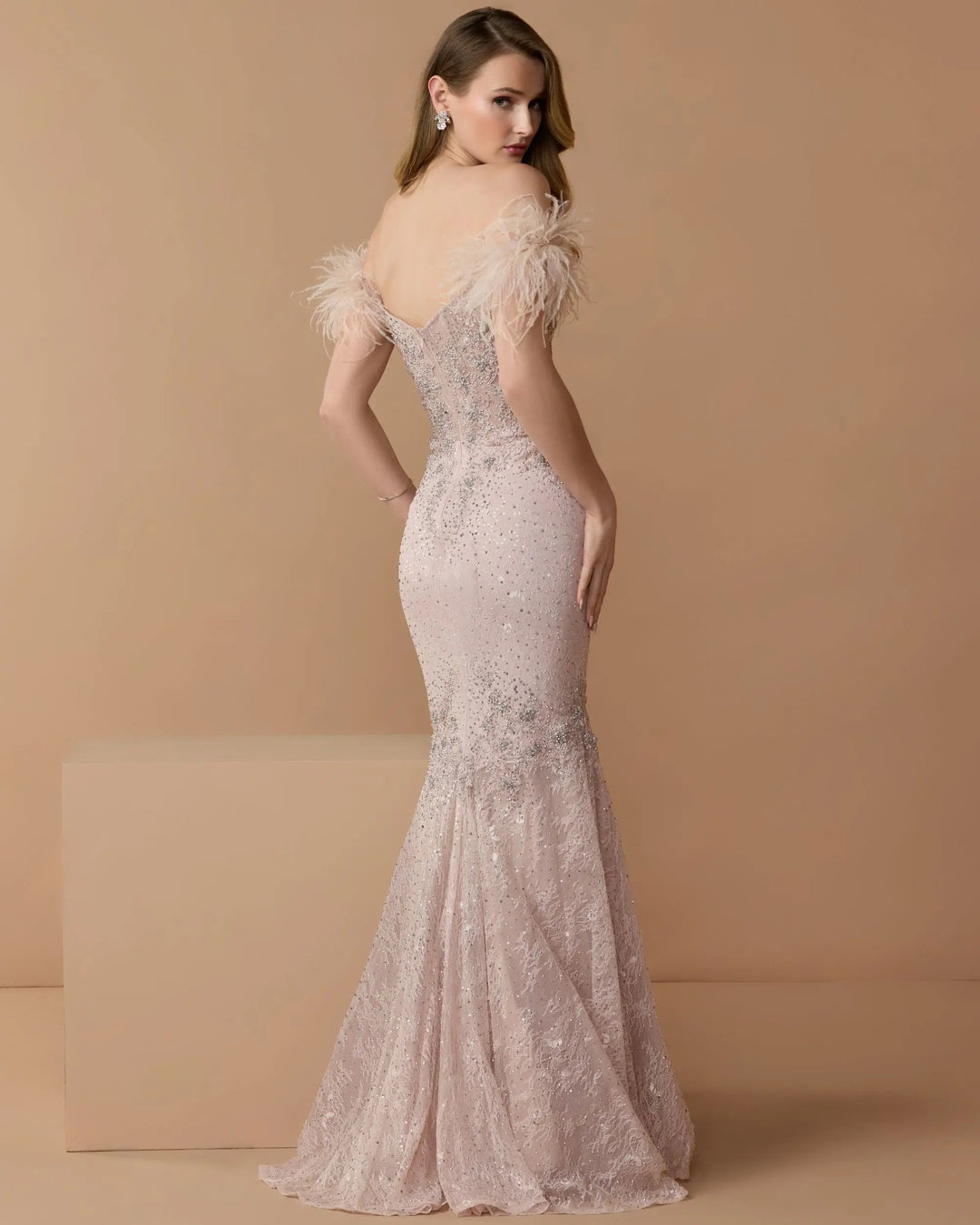 Mac Duggal 20246 Feathered Crystal Embellished Sleeveless Gown