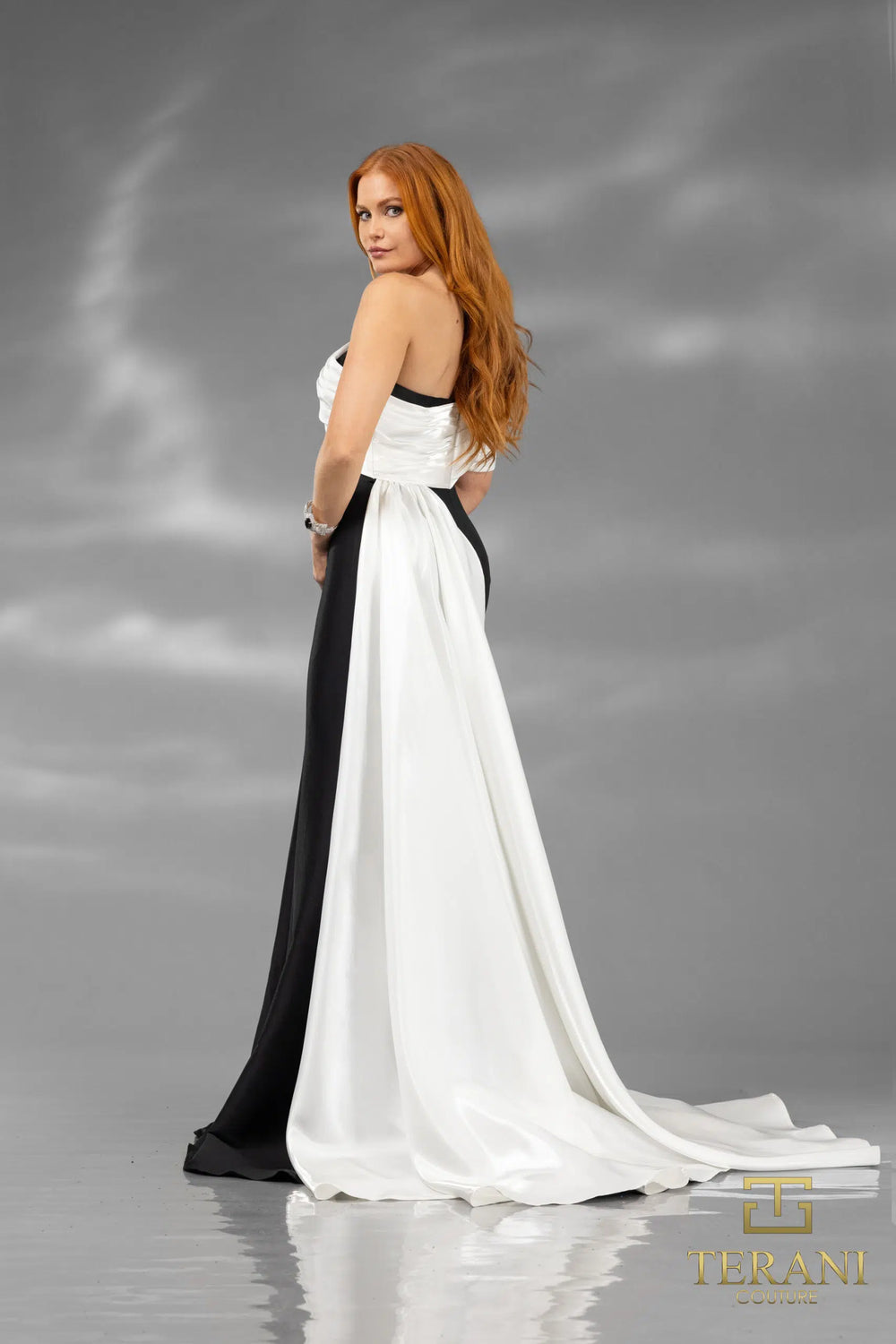 Terani 251E4205 Dress - FOSTANI.com