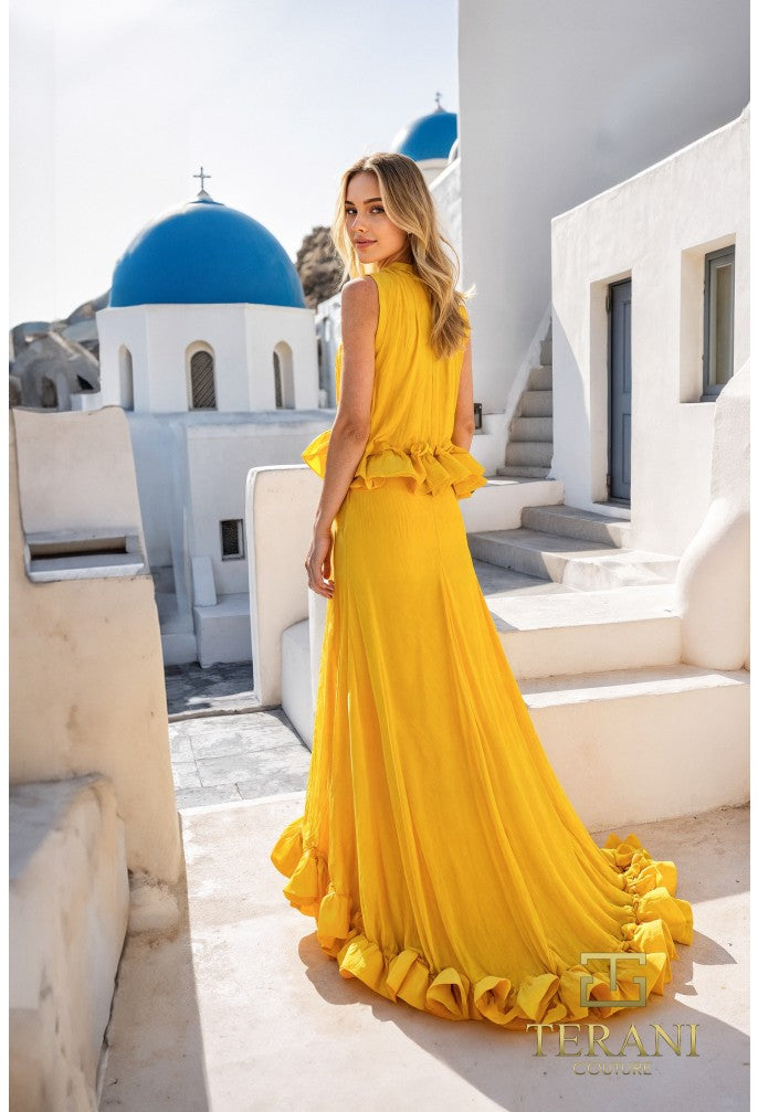 Terani 251E4657 Dress - FOSTANI.com