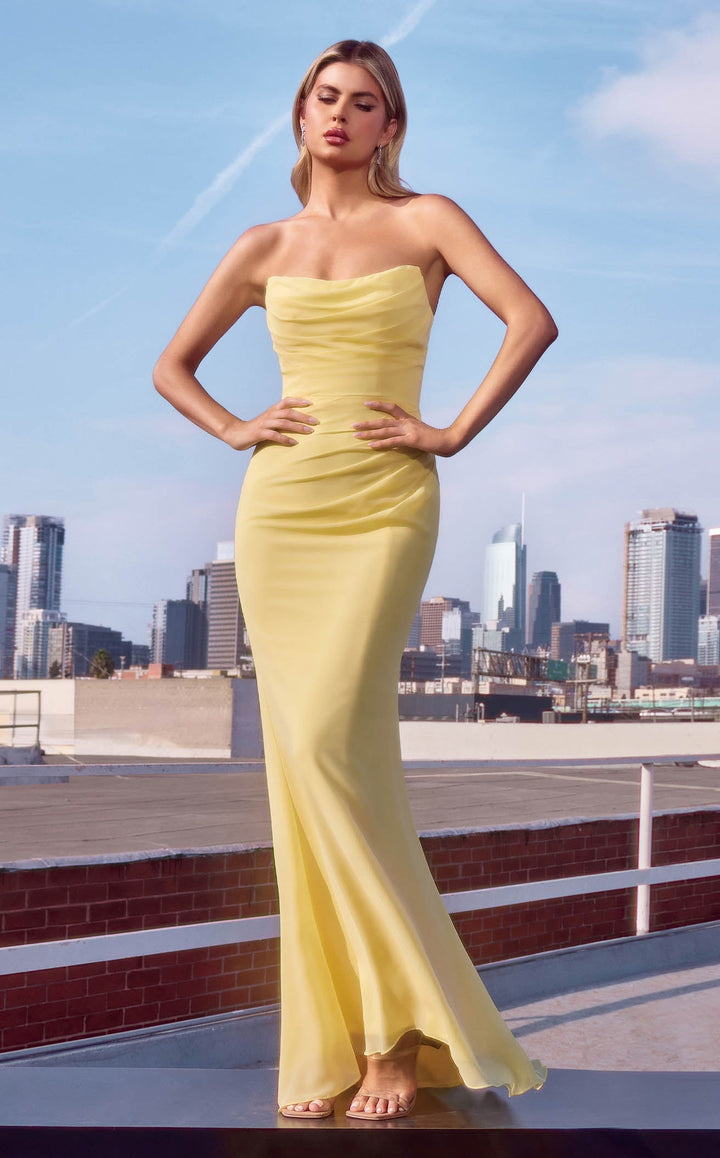 Amoris T702 Dress