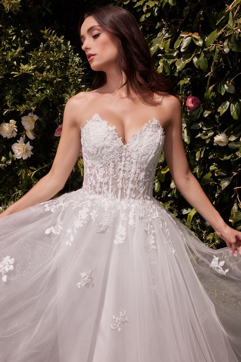 Cinderella Divine C148W DRESS - FOSTANI.com