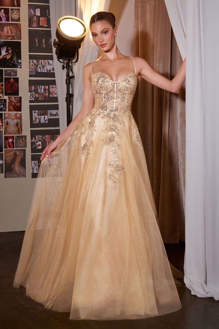 Ladivine C177 Spaghetti Strap Embellished Corset A-Line Ball Gown