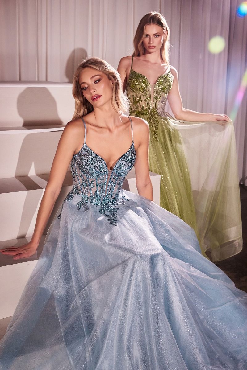 Cinderella Divine  CC0881 Dress