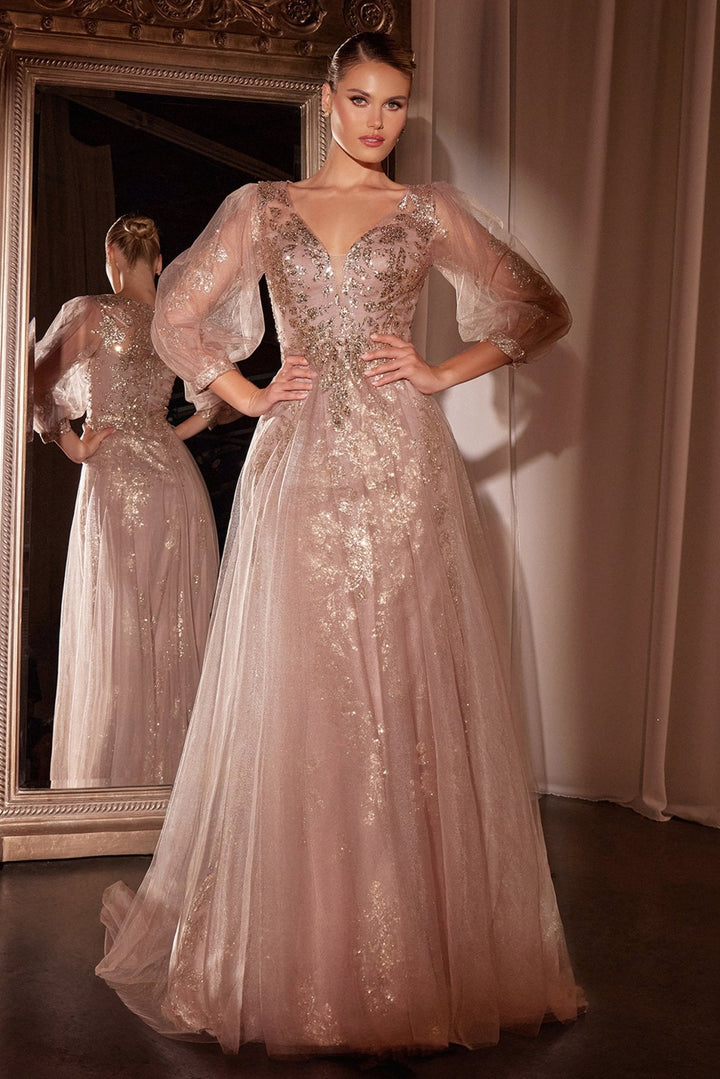 Cinderella Divine CD0102 Dress - FOSTANI.com