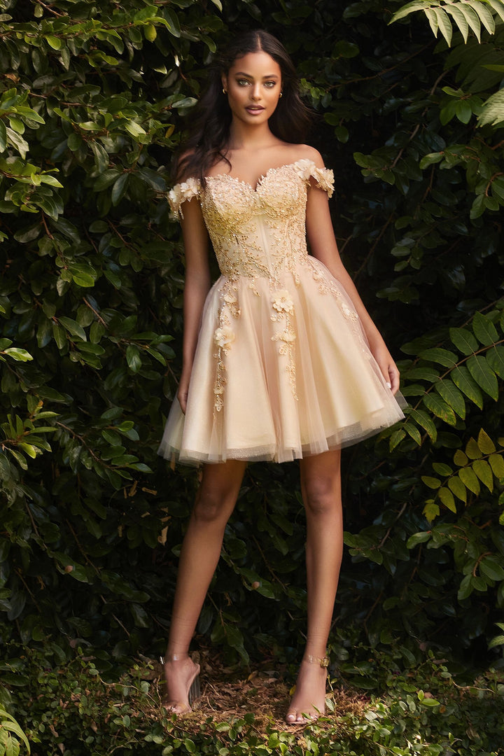 Ladivine  CD0194 Dress