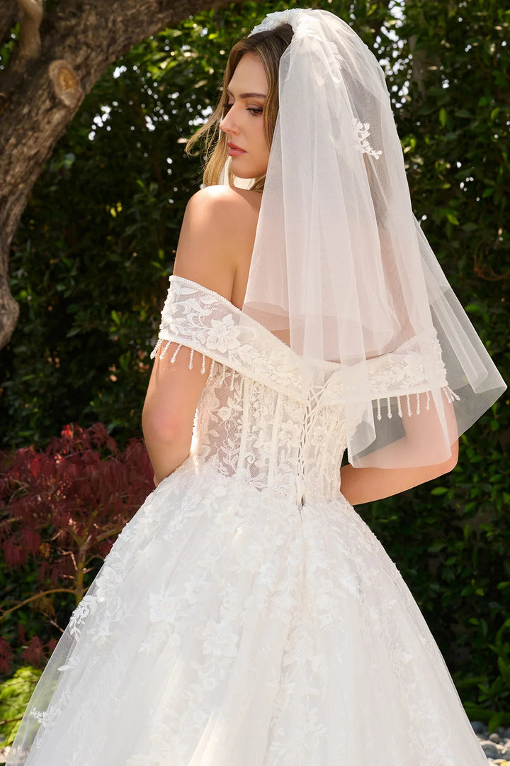GLS Collective GL3841 corset back detail with veil