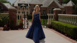 فستان الألوان 3496