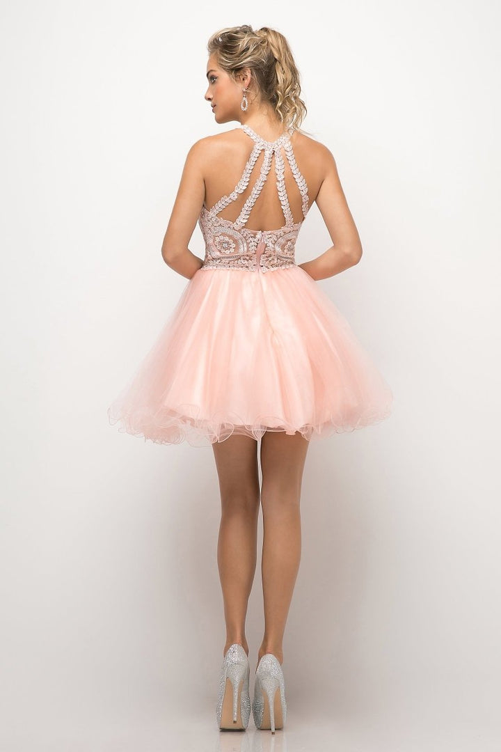 Ladivine UJ0119 Dress