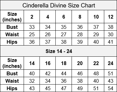 Cinderella Divine LA7484WC Dress - FOSTANI